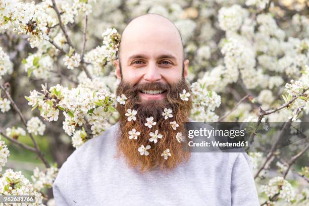 portrait of laughing hipster with white tree blossoms in his beard - baard stockfoto's en -beelden