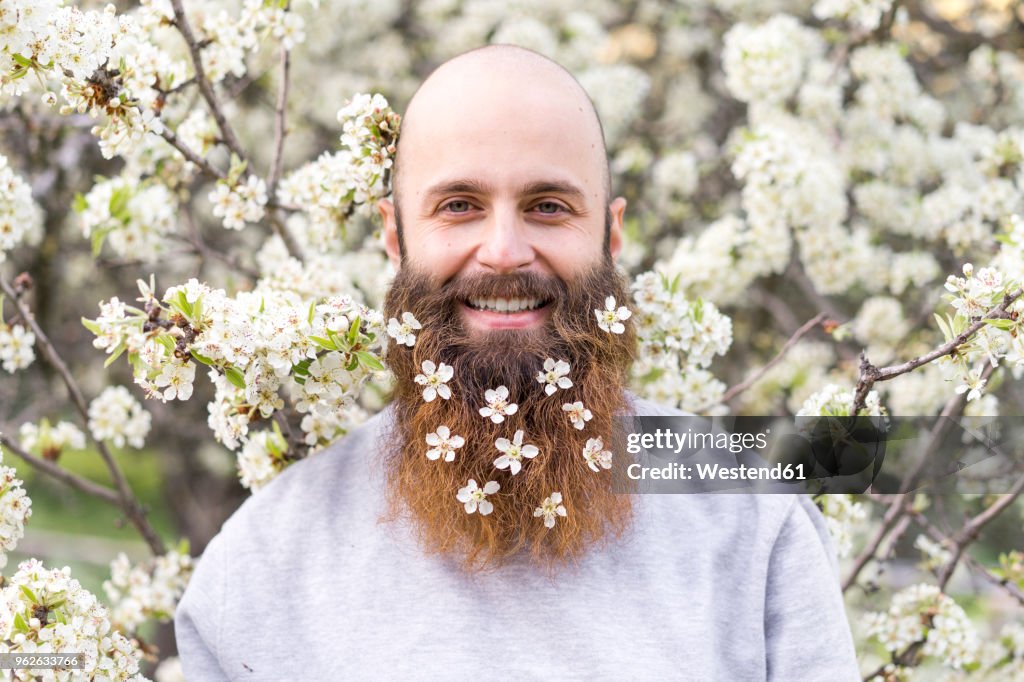 Portrait of laughing hipster with white tree blossoms in his beard