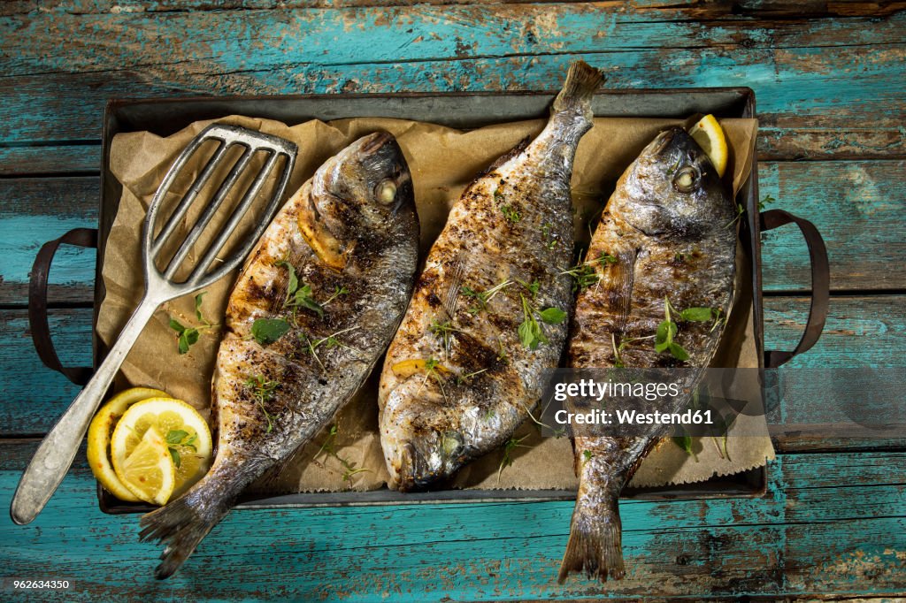 Grilled sea breams