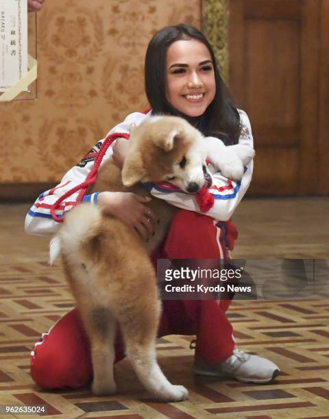 Russian Olympic figure skating champion Alina Zagitova holds an Akita puppy she received from a group preserving the Japanese dog breed, at a...