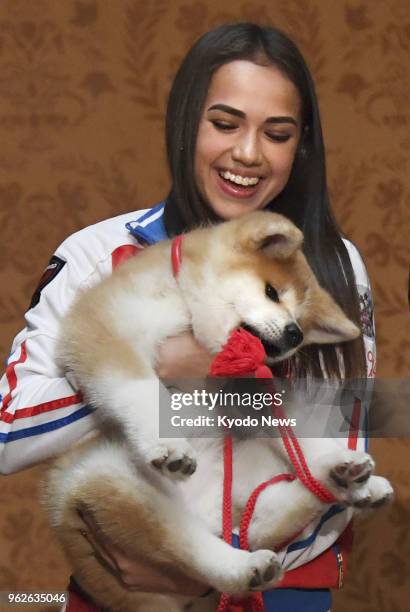 Russian Olympic figure skating champion Alina Zagitova holds an Akita puppy she received from a group preserving the Japanese dog breed, at a...