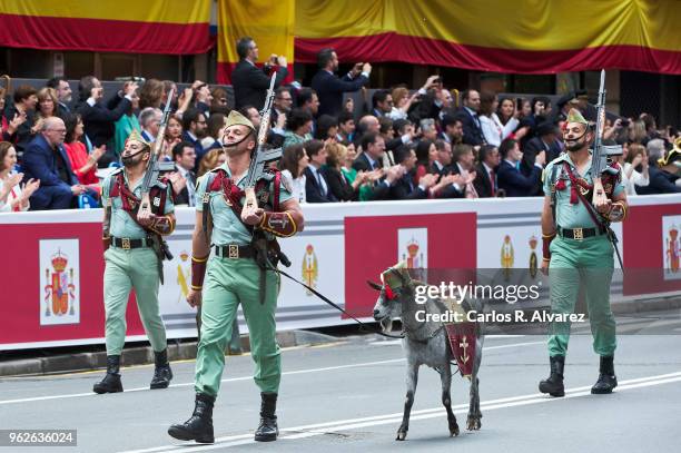 Legionnaires and their goat mascot march during the Armed Forces Day on May 26, 2018 in Logrono, Spain.