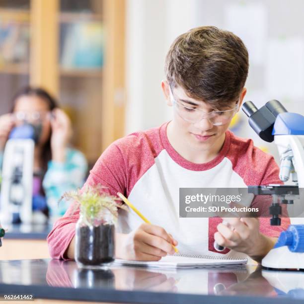 high schoolboy analyzes plant during botany class - soil sample stock pictures, royalty-free photos & images