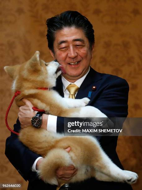 Japanese Prime Minister Shinzo Abe holds an Akita Inu puppy named Masaru in his arms during his official visit to Moscow, Russia, on May 26, 2018....