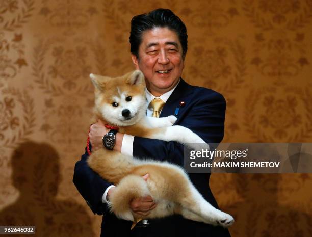 Japanese Prime Minister Shinzo Abe holds an Akita Inu puppy named Masaru in his arms during his official visit to Moscow, Russia, on May 26, 2018....