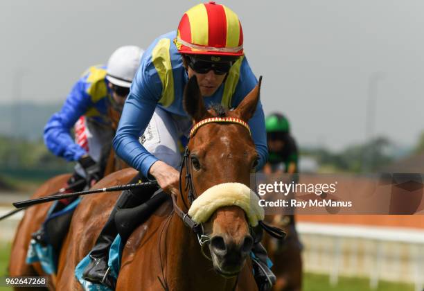 Leigh Roche 178 Leigh Roche Stock Photos, High-Res Pictures, and Images - Getty Images