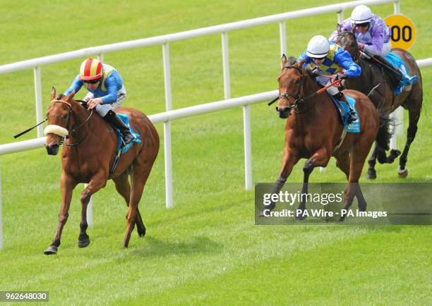 Leigh Roche 176 Leigh Roche Stock Photos, High-Res Pictures, and Images - Getty Images