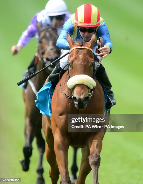 Leigh Roche 183 Leigh Roche Stock Photos, High-Res Pictures, and Images - Getty Images