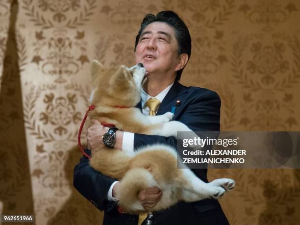 Japanese Prime Minister Shinzo Abe holds an Akita Inu puppy named Masaru in his arms during his official visit to Moscow, Russia, on May 26, 2018....