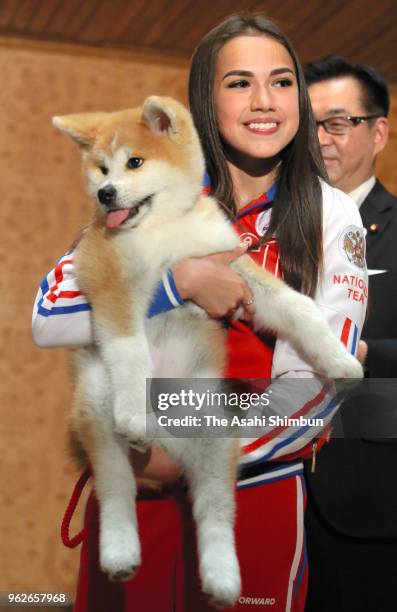 Pyeongchang Olympic Figure Skating Ladies Singles gold medalist Alina Zagitova holds 'Masaru' Akita inu dog presented by Japan on May 26, 2018 in...