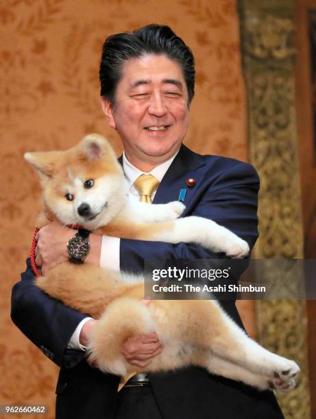 Japanese Prime Minister Shinzo Abe holds 'Masaru' Akita inu dog presented to Pyeongchang Olympic Figure Skating Ladies Singles gold medalist Alina...