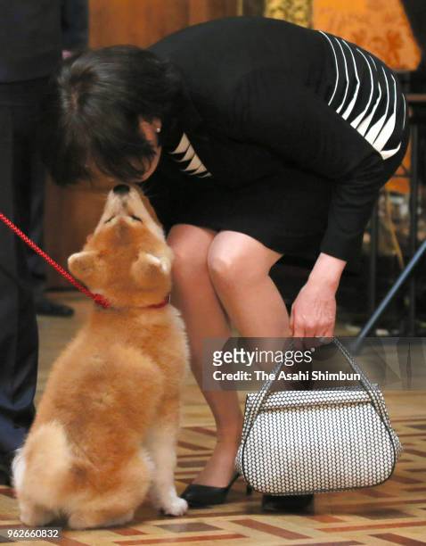 Akie Abe, wife of Japanese Prime Minister Shinzo Abe holds 'Masaru' Akita inu dog presented to Pyeongchang Olympic Figure Skating Ladies Singles gold...