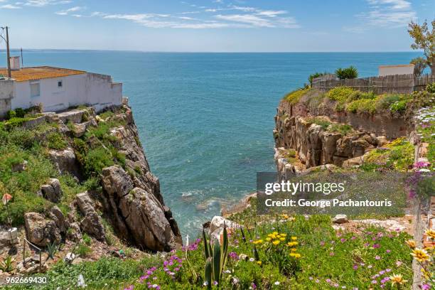 flowers on a cliff and the ocean - peniche stock pictures, royalty-free photos & images