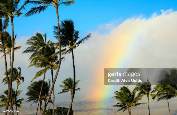 rainbow and coconut palms in hawaii - anaehoomalu bay stockfoto's en -beelden