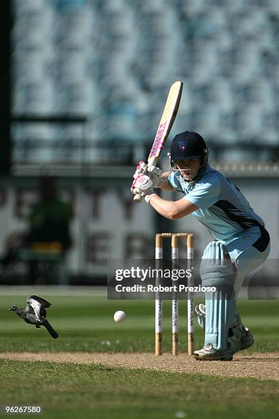 Leah Poulton of the Breakers plays a shot during the WNCL Final match between the NSW Breakers and the DEC Victoria Spirit held at the Melbourne...