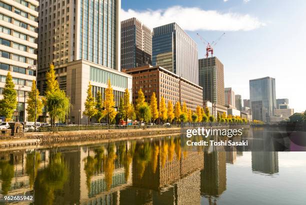 rows of autumn leaves ginkgo trees and rows of marunouchi financial district high-rise buildings reflect to the imperial moat, which stand along the imperial moat at marunouchi tokyo japan on november 25 2017. - center of gravity 2017 stock pictures, royalty-free photos & images