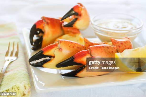 stone crab claws meal - florida stone crab stockfoto's en -beelden