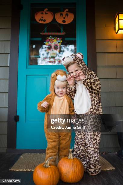 two kids (2-3, 4-5) wearing halloween costumes - tiger costume stock pictures, royalty-free photos & images