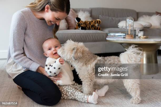 mother and baby daughter (18-23 months) playing with dog in living room - baby hund innenaufnahme stock-fotos und bilder