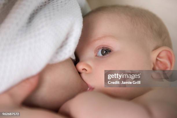 mother breastfeeding baby (12-17 months) - 12 17 months stock pictures, royalty-free photos & images