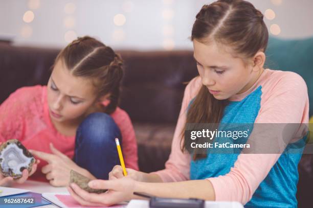 two pre-teen girls studying together in living room - geology class stock pictures, royalty-free photos & images