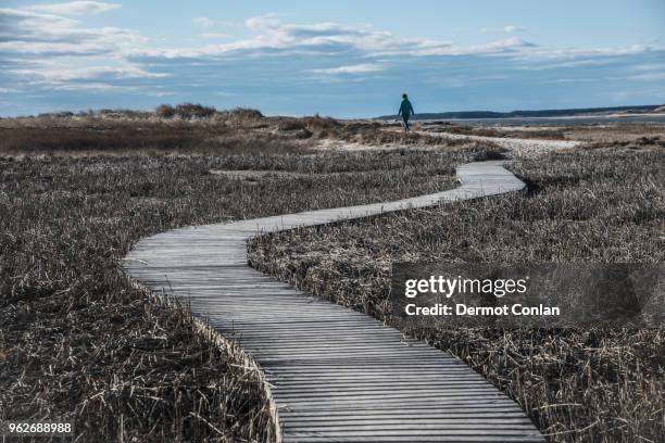 usa, massachusetts, cape cod, wellfleet, woman walking on boardwalk - wellfleet stock pictures, royalty-free photos & images