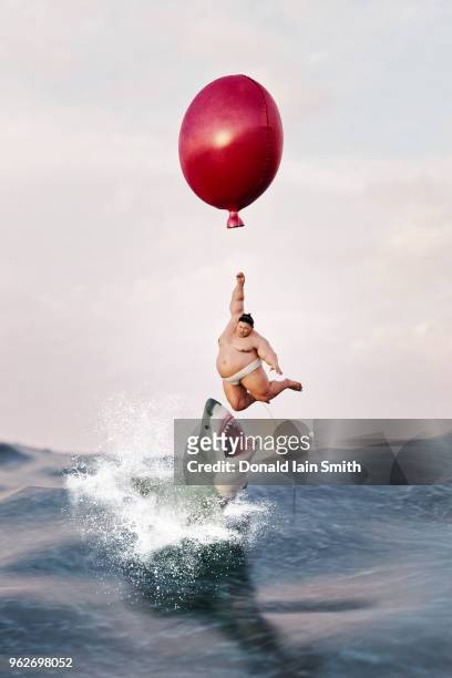 sumo wrestler hangs from balloon above sea as great white shark leaps out of water - men wrestling stock pictures, royalty-free photos & images
