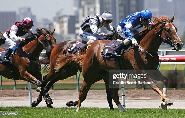 Jockey Nicholas Hall riding Star Witness wins the Talindert Stakes during the Coolmore Lightning Stakes Day meeting at Flemington Racecourse on...