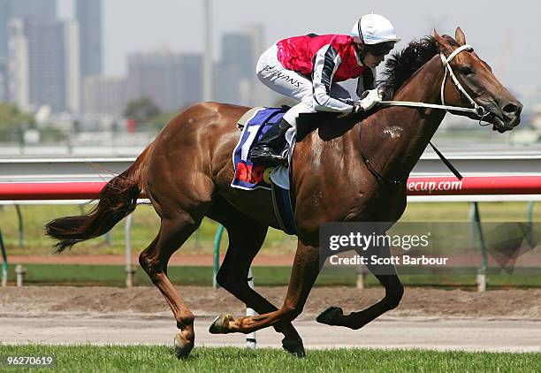 Jockey Brent Evans riding Apprehend wins the TAB BIG6 Mega Jackpot Handicap during the Coolmore Lightning Stakes Day meeting at Flemington Racecourse...