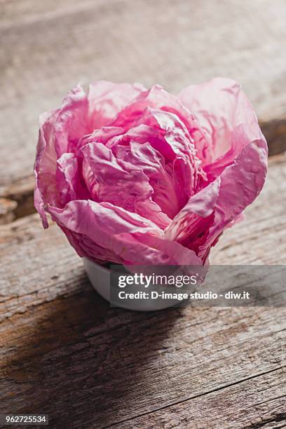 Raddichio Rosa 27 Pink Radicchio Stock Photos, High-Res Pictures, and Images - Getty ...