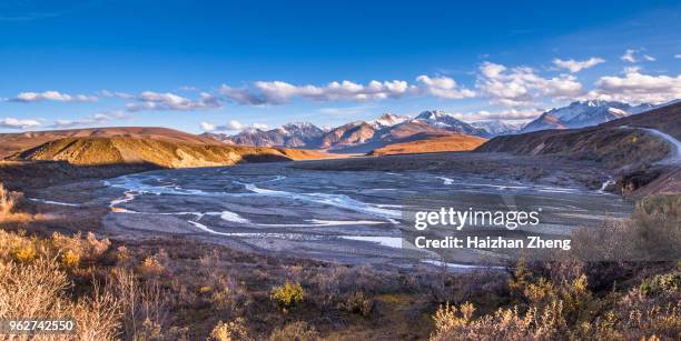 fel geel herfst herfst kleur tress denali gebergte - cathedral peaks stockfoto's en -beelden