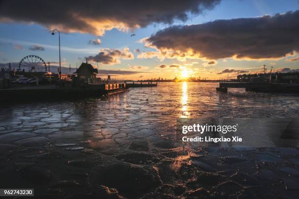 scenic view of sunrise over frozen ice at south harbour, helsinki, finland - birds in finland foto e immagini stock