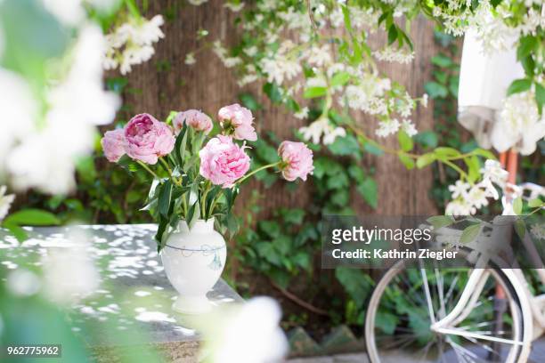 peonies in a vase on garden table - peónia imagens e fotografias de stock