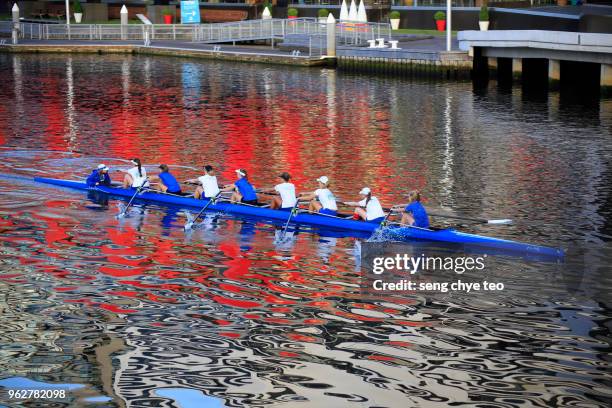 canoeing rowing team in movement - sculling crew stock pictures, royalty-free photos & images