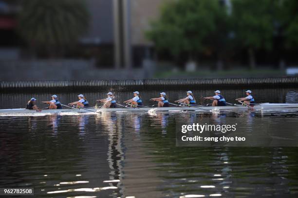 canoeing rowing team in movement - sculling crew stock pictures, royalty-free photos & images