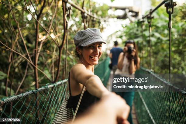 happiness in nature - forest kuala lumpur stock pictures, royalty-free photos & images
