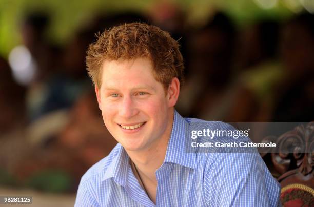 Prince Harry attends a Garden Party for Barbados' orphaned and vulnerable children at the Garrison Museum with Prince Seeiso of Lesotho on January...