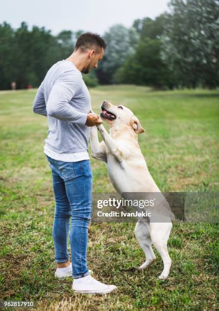 a dog and his best friend playing - ivanjekic stock pictures, royalty-free photos & images