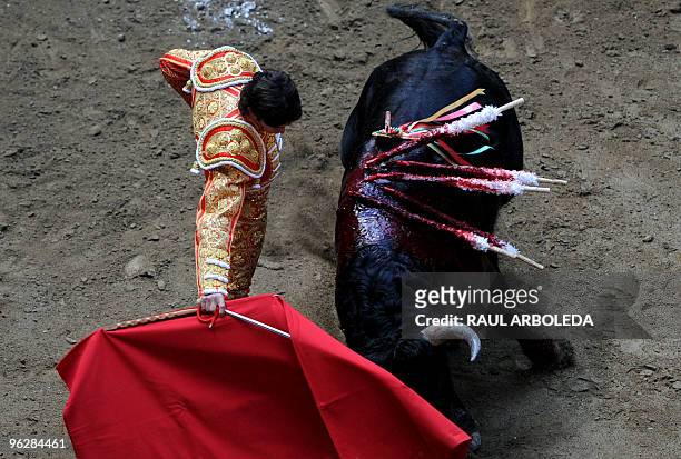 French bullfighter Sebastian Castella performs a muleta pass during a bullfight at La Macarena bullring in Medellin, Antioquia department, Colombia...