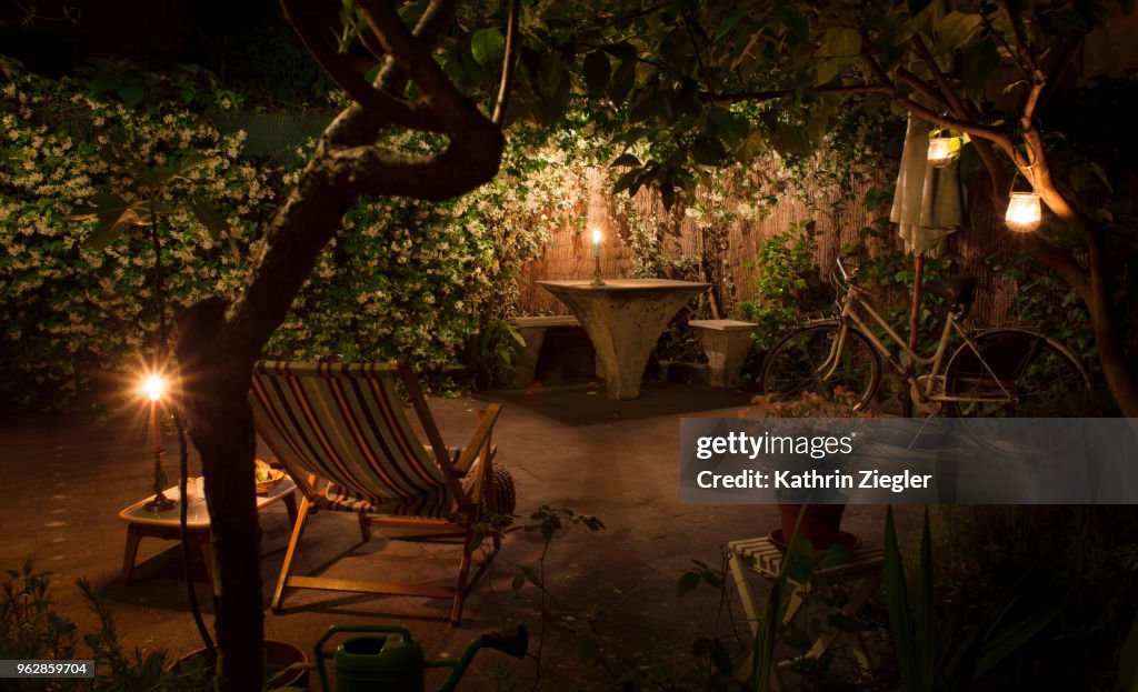Candlelit backyard with star jasmine hedge in full bloom