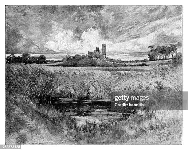 ely cathedral - ely cathedral stock illustrations
