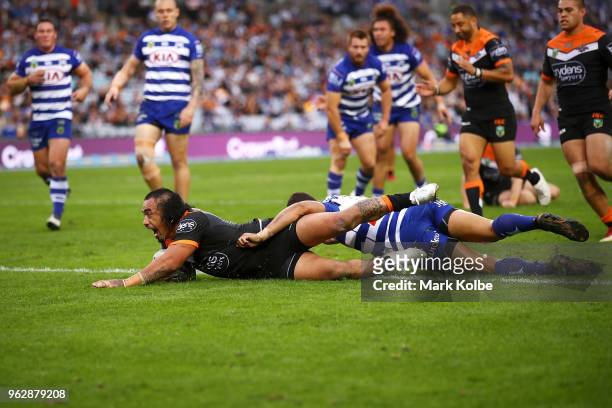 Mahe Fonua of the Tigers scores a try only to have it disallowed during the round 12 NRL match between the Wests Tigers and the Canterbury Bulldogs...