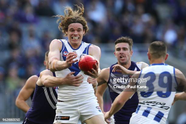 Ben Brown of the Kangaroos juggles a mark during the round 10 AFL match between the Fremantle Dockers and the North Melbourne Kangaroos at Optus...