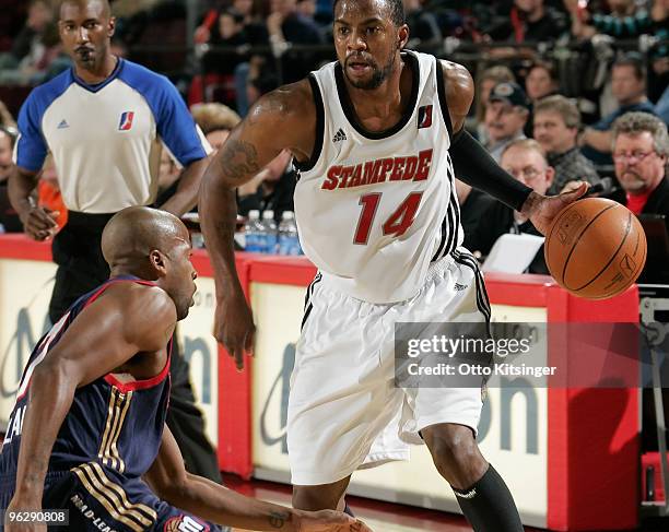 Donell Taylor of the Idaho Stampede handles the ball against the Bakersfield Jam at Qwest Arena on January 30, 2010 in Boise, Idaho. NOTE TO USER:...