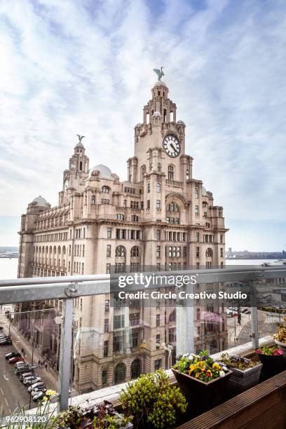 liverpool's royal liver building - royal liver building stock pictures, royalty-free photos & images