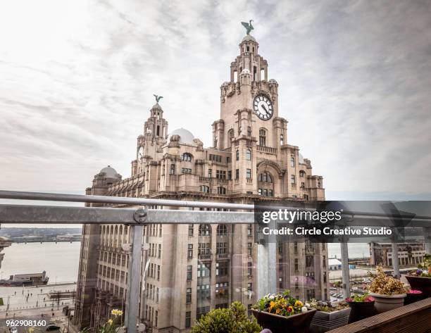 liverpool's royal liver building - royal liver building stock pictures, royalty-free photos & images