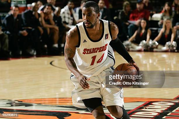 Donell Taylor of the Idaho Stampede handles the ball against the Bakersfield Jam at Qwest Arena on January 30, 2010 in Boise, Idaho. NOTE TO USER:...