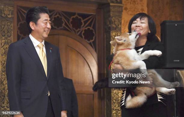 Japanese Prime Minister Shinzo Abe smiles as his wife Akie holds an Akita puppy in Moscow on May 26, 2018. The puppy was offered to Russian Olympic...