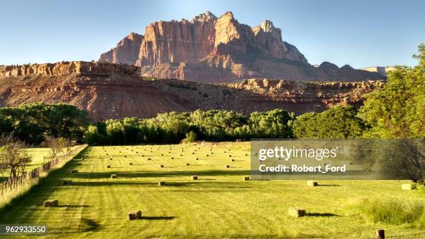 late afternoon light on hay bales in pastures below mt kinesava in zion national park utah - virgin river stock pictures, royalty-free photos & images