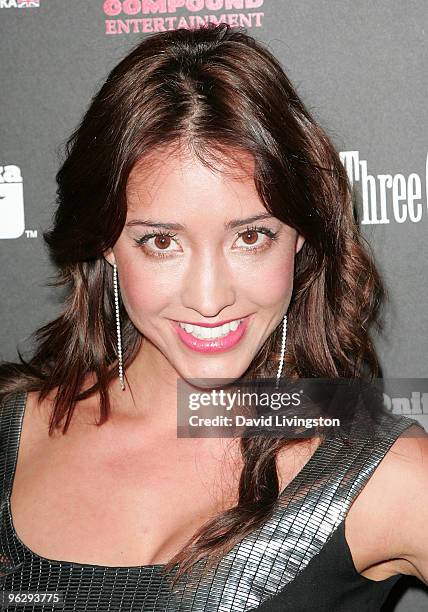 Actress Fernanda Romero attends the 3rd Annual Midnight GRAMMY Brunch hosted by Ne-Yo at W Hollywood Hotel & Residences on January 30, 2010 in...